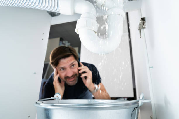 Best Leak Detection Services  in Las Lomas, TX