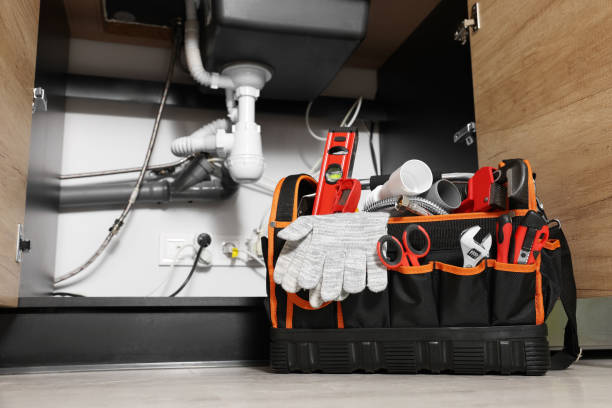 Best Plumbing Inspection Services  in Las Lomas, TX